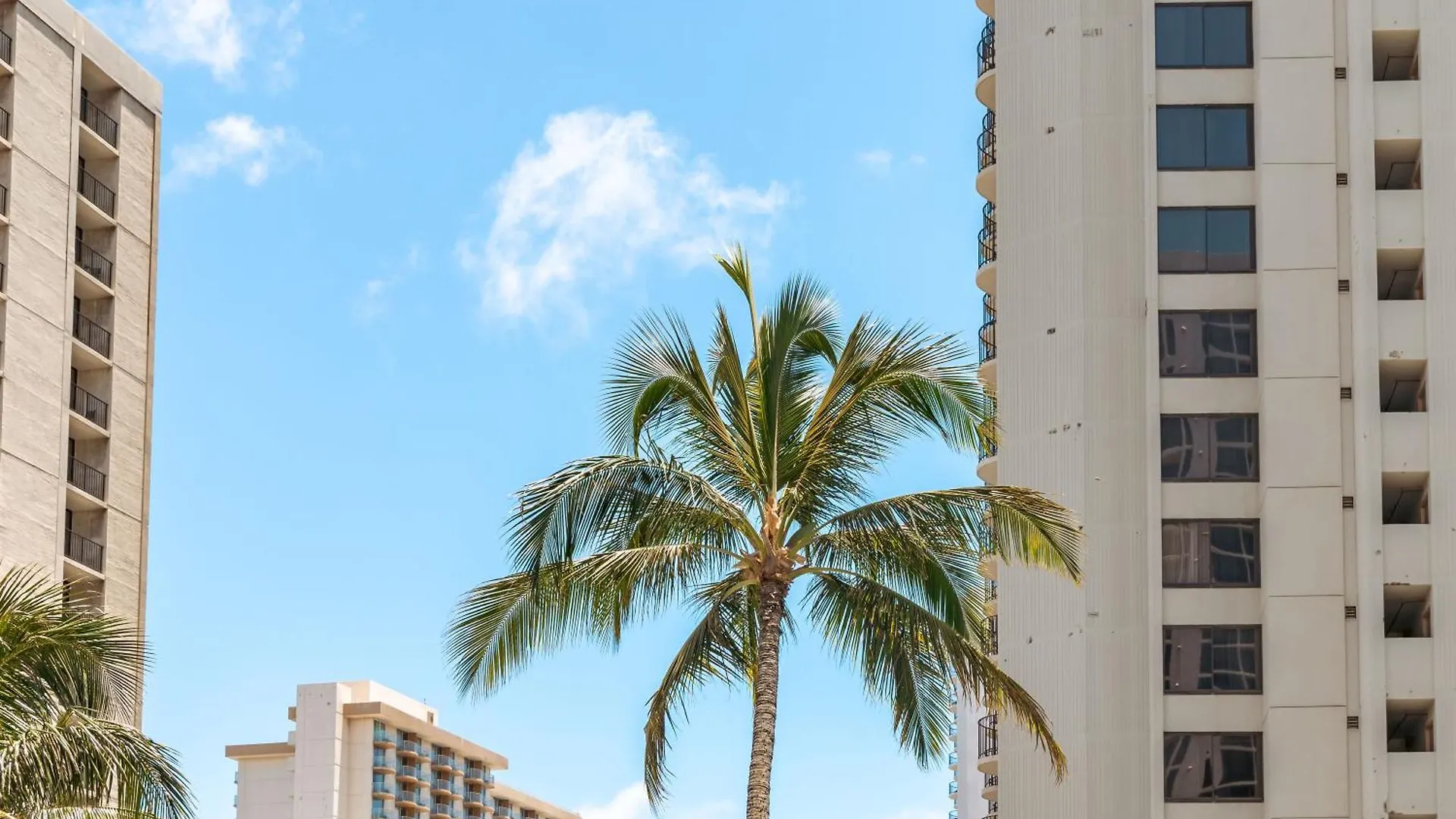 Lovely 1Br Ocean View Condo, Near Beach + Parking! Honolulu