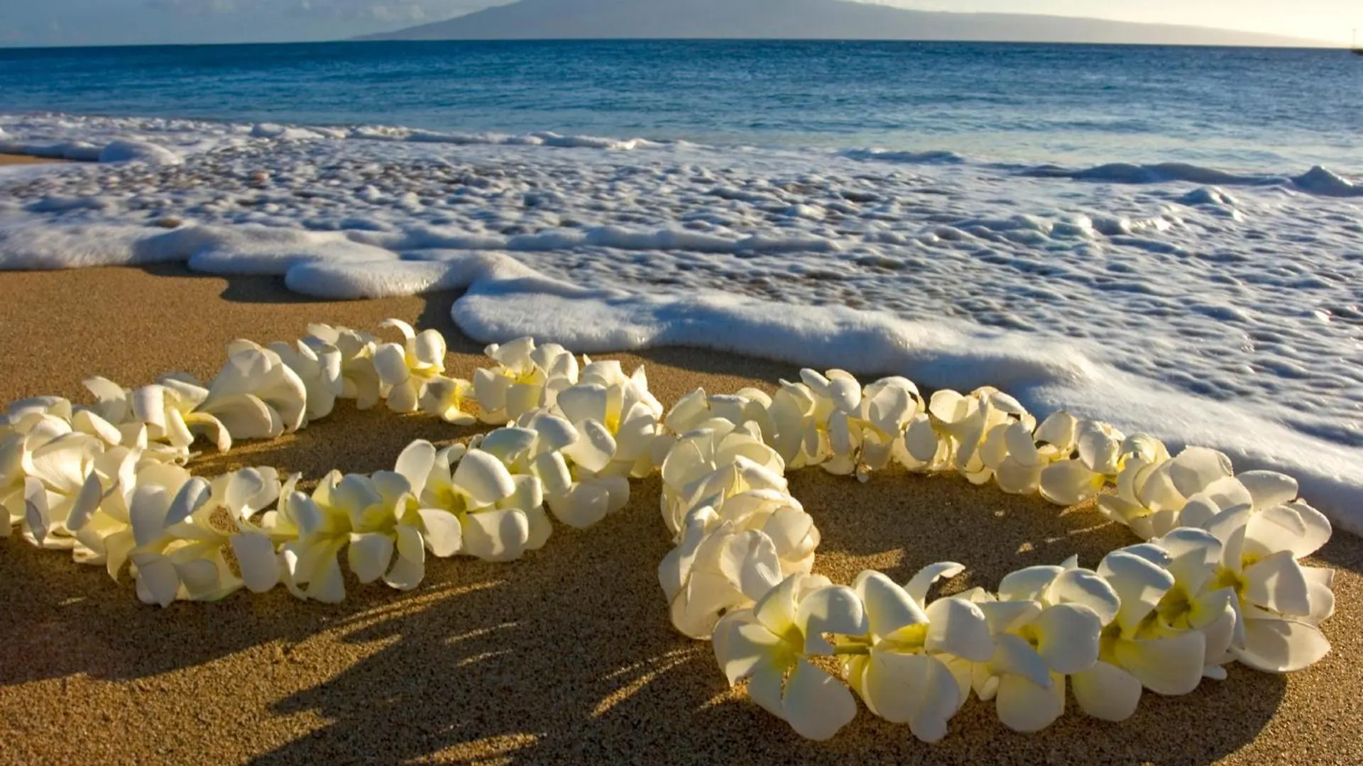 Lovely 1Br Ocean View Condo, Near Beach + Parking! Honolulu
