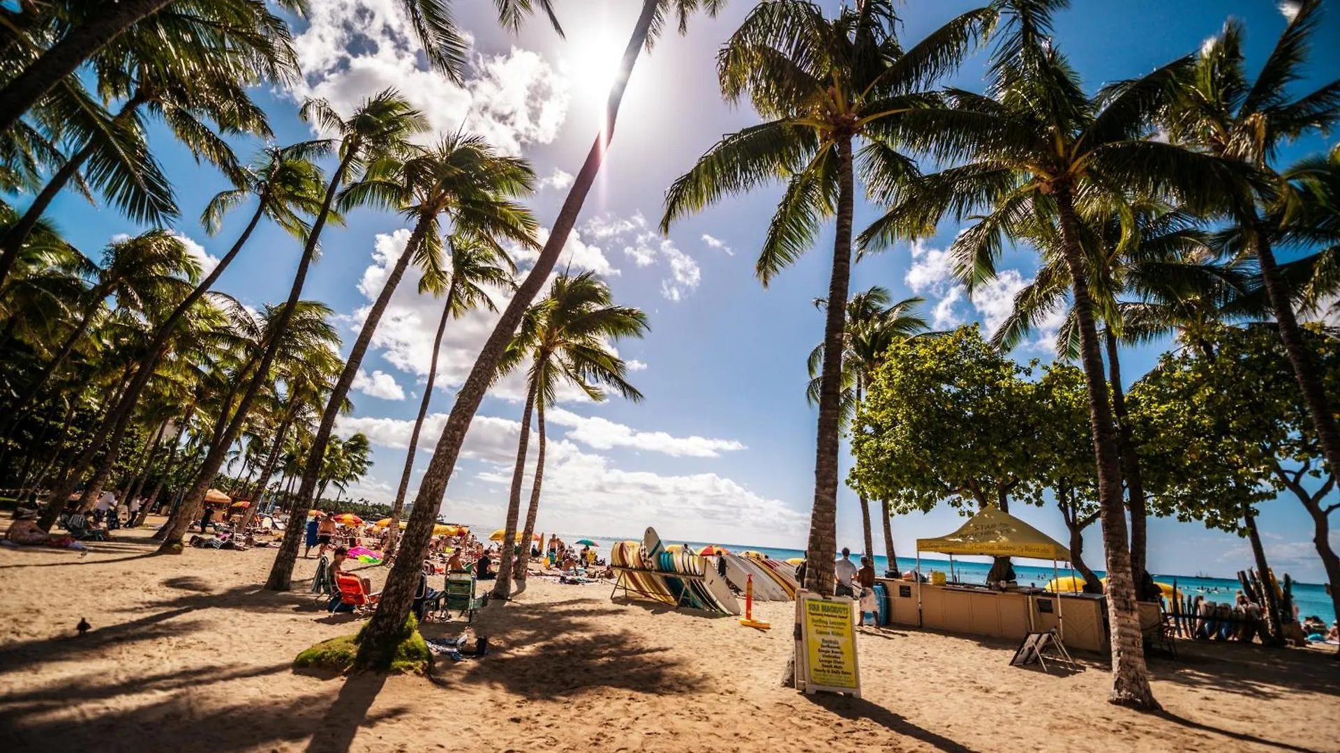 Lovely 1Br Ocean View Condo, Near Beach + Parking! Honolulu 0*,